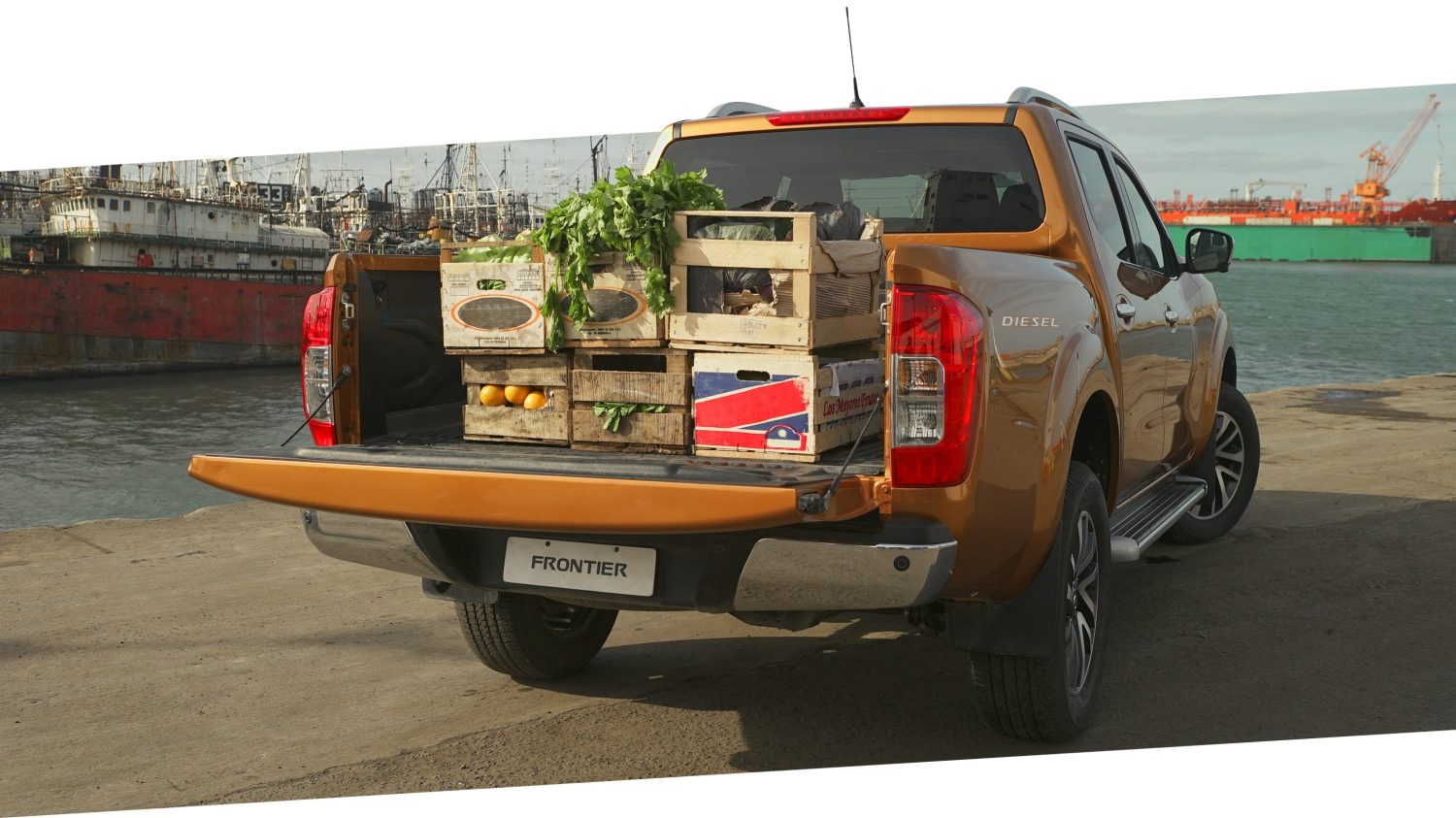 Frontier vista desde atrás cargando vegetales