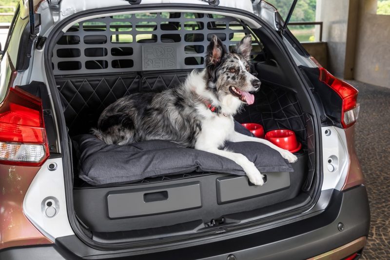 Nissan for pets