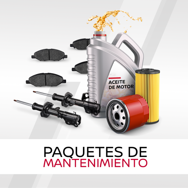 PAQUETES DE MANTENIMIENTO