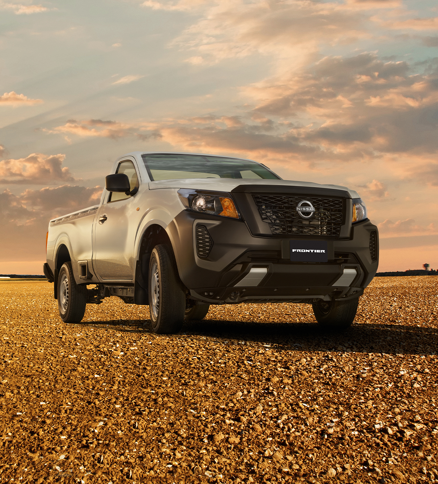 NP300 Servicio total