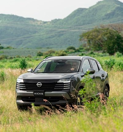 Promesas Nissan