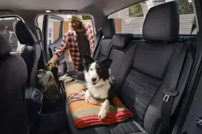 Nissan X-Trail pet friendly