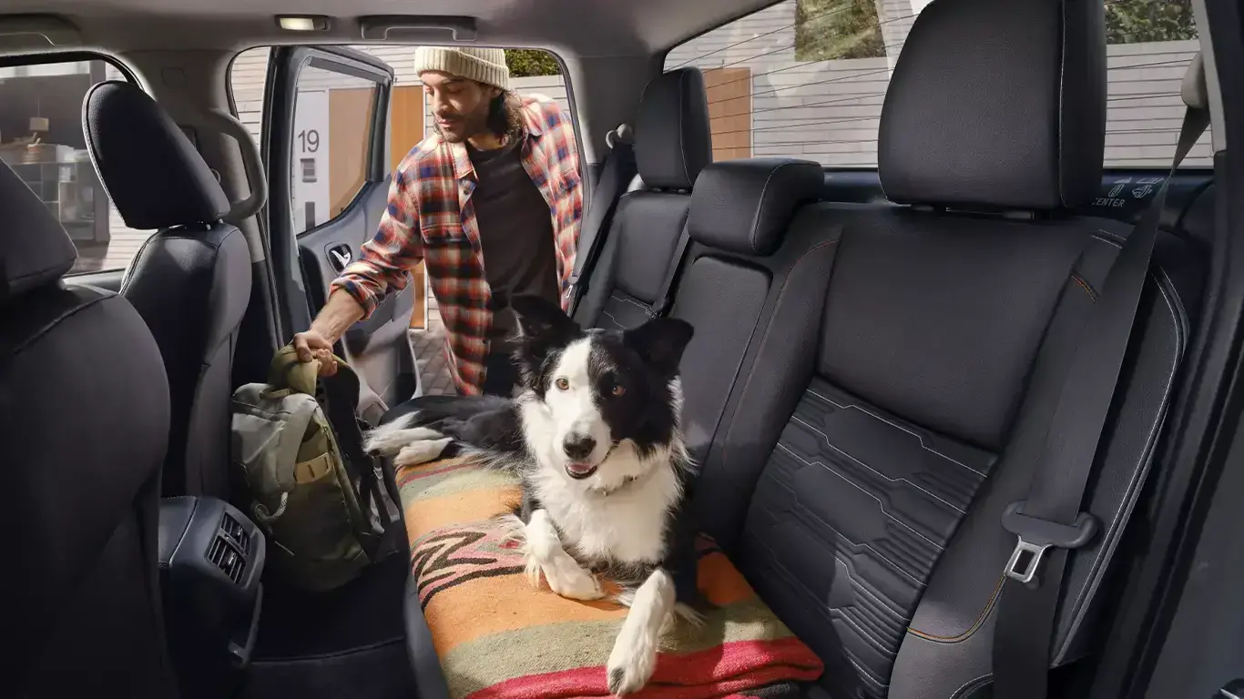 Nissan X-Trail pet friendly