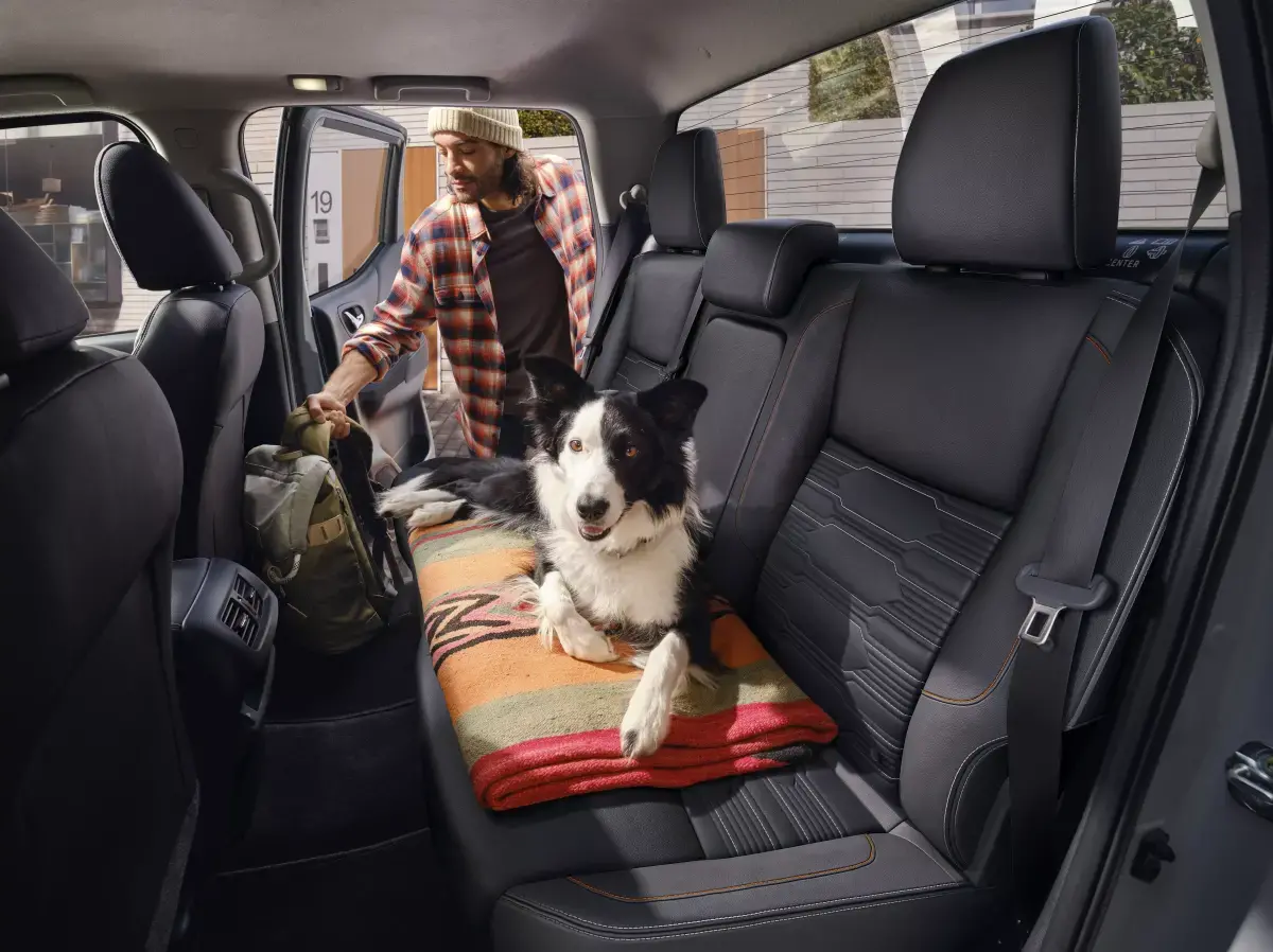 Viajando con tu mascota por carretera con Nissan