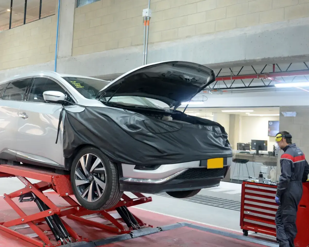 Especialización Técnica