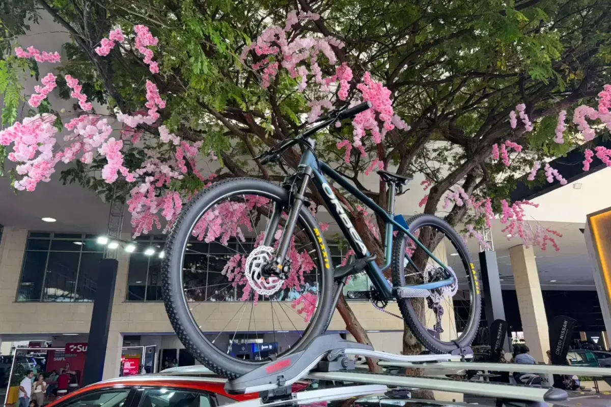 Términos Y Condiciones Dinámica “Gana Una Bicicleta Orbea”