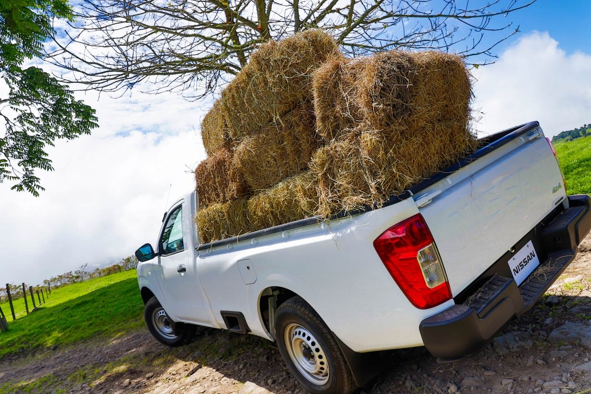 np300-navara-sc-overview2