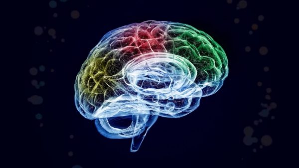 Nissan Brain-to-Vehicle Technology