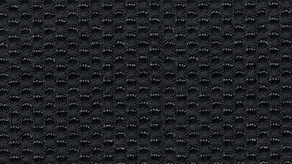 2021 Nissan Frontier PRO-4X black leather color swatch