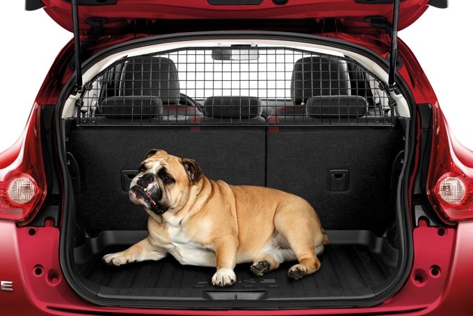 nissan suv for dogs acess 243 rios nissan juke suv nissan nissan suv for dogs acess 243 rios nissan juke suv nissan