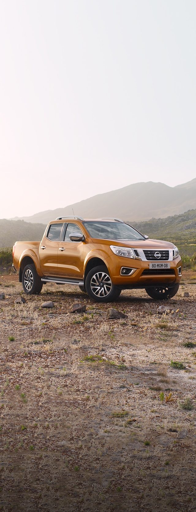 NISSAN Deutschland PKW Nutzfahrzeuge Elektroautos