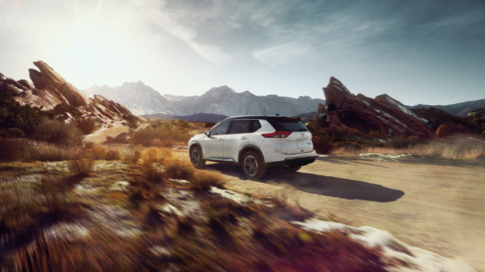 Pintura en dos tonos